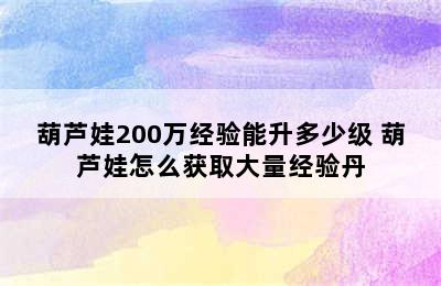 葫芦娃200万经验能升多少级 葫芦娃怎么获取大量经验丹